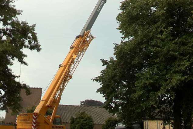 de Nieuwstraat  sint michielsgestel  bomen rooien en kappen snoeien, snel en vakkundig leeg ruimen tuin opruimen tuin, leggen bestrating opruimen van stormschade aan bomen bij een storm